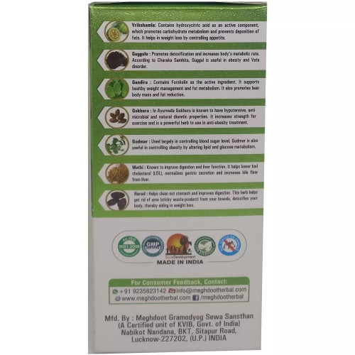 Meghdoot Ayurvedic Meg Slim Churna (100g)