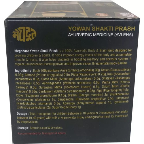 Meghdoot Ayurvedic Yowan Shakti Prash (500g)