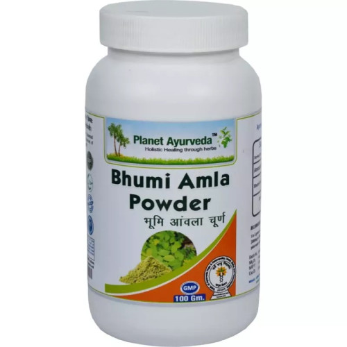 Planet Ayurveda Bhumi Amla Powder (100g, Pack of 2)