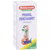 Baidyanath Prawal Panchamrit (Moti Yukta) (25 Tablets)