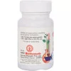 Baidyanath Amlapittantak Lauh (40 Tablets)
