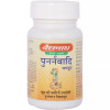 Baidyanath Punarnawadi Mandoor (40 Tablets)