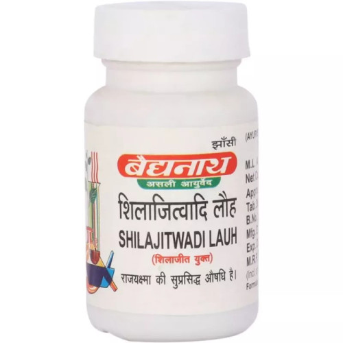 Baidyanath Shilajitwadi Lauh (40 Tablets)
