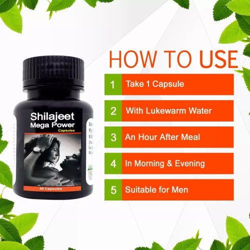 Shivalik Herbals Shilajeet Mega Power  Capsulesule (60 Capsules)