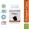 Shivalik Herbals Shilajeet  Capsulesule (60 Capsules, Pack of 2)