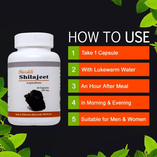 Shivalik Herbals Shilajeet  Capsulesule (60 Capsules, Pack of 2)