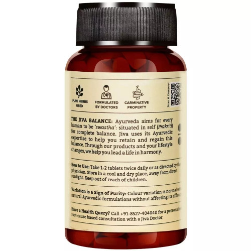 Jiva Ayurveda Pachak Vati (120 Tablets)