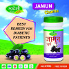 Swadeshi Ayurved Jamun Churna (100g)