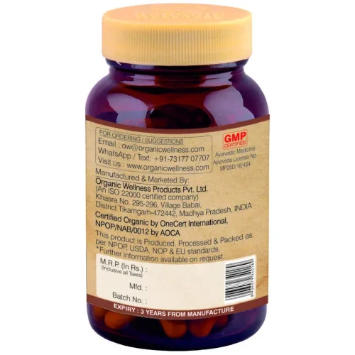 Organic Wellness Diabo-Fit  Capsules (90 Capsules)