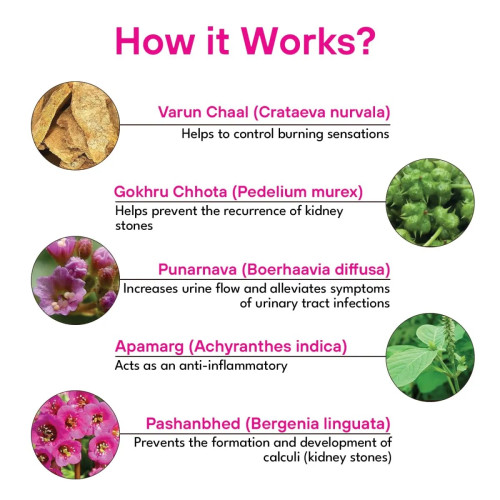 Mpil Nephrol Syrup (450ml)