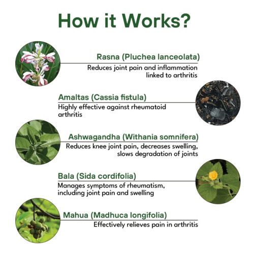 Mpil Rheuam Liquid (450ml)