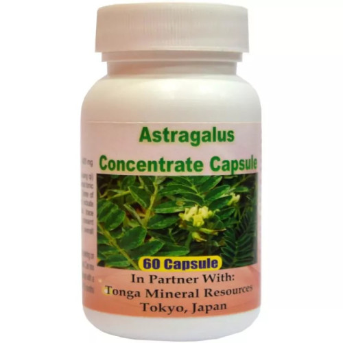 Tonga Herbs Astragalus Concentrate  Capsules (60 Capsules)