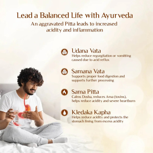 Maharishi Ayurveda Amlant  Tablets (60 Tablets)